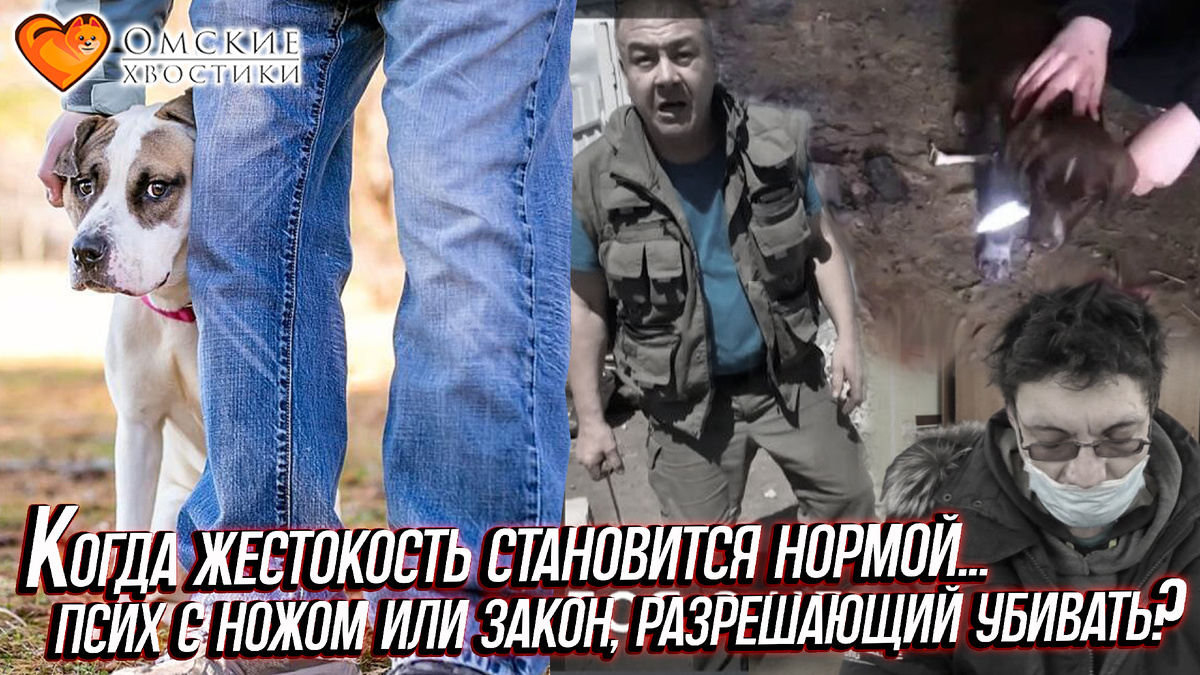 Когда жестокость становится нормой...