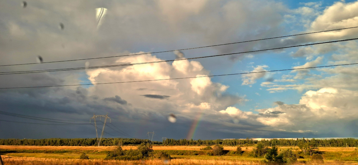 В полях за Вырицей