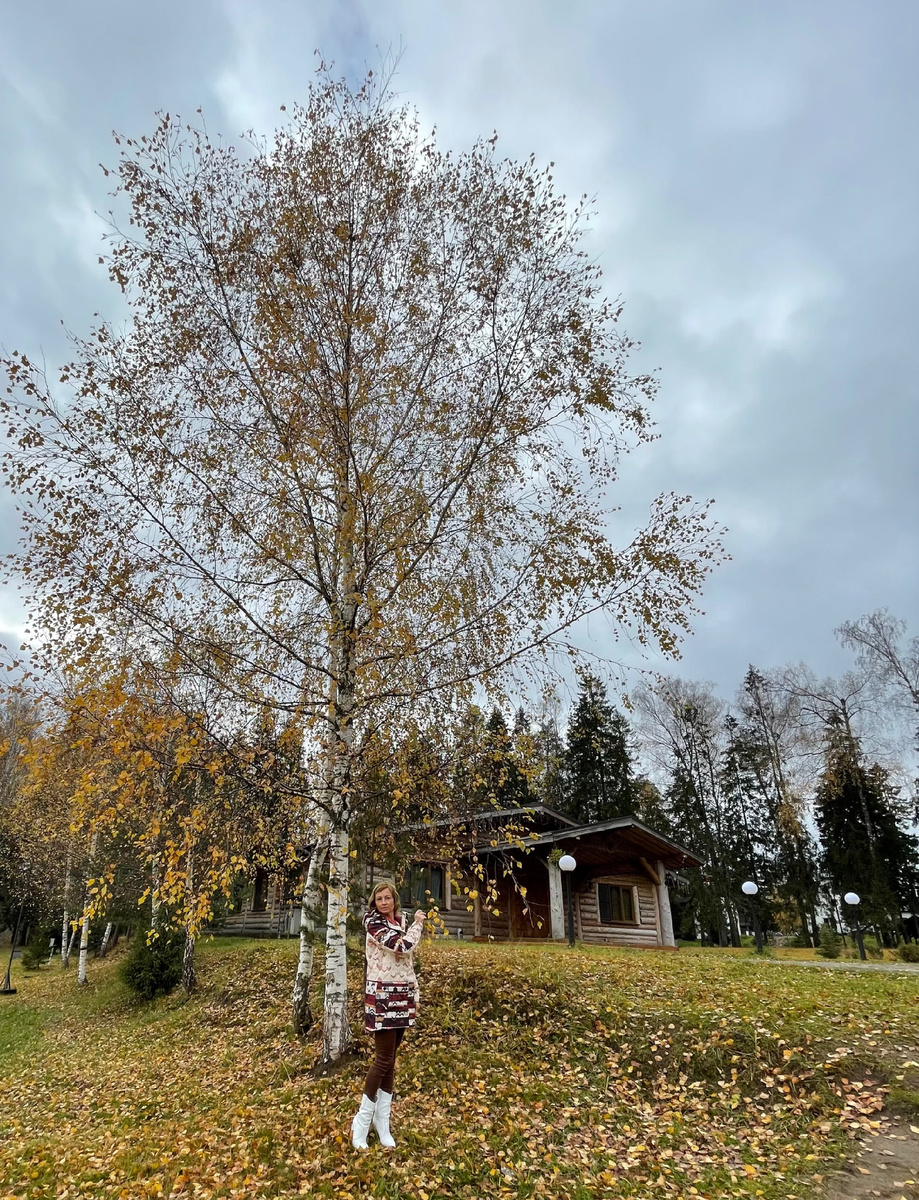 Осень в Подмосковье. Фото автора.