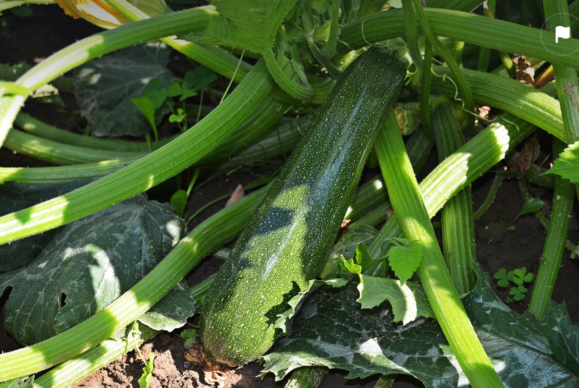 В этом году 