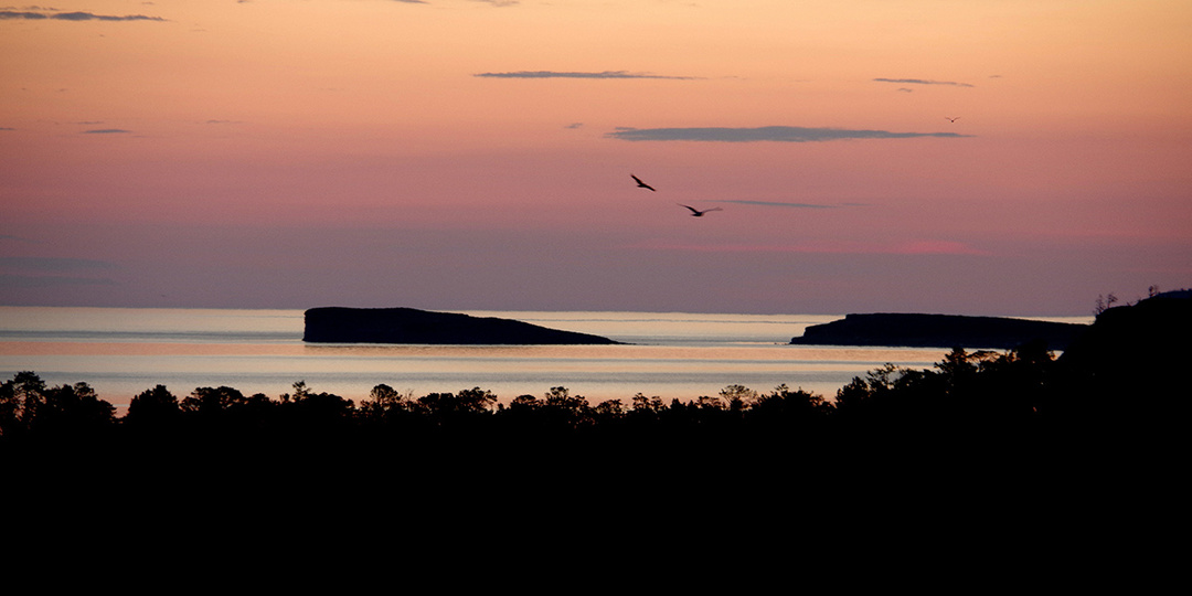 СТРАШНАЯ ИСТОРИЯ. "Байкальская фотосерия" Автор Валерий Железняков