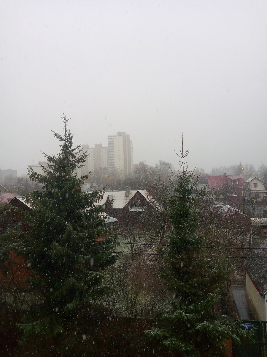 Туманный осенний день... Фото Алены Селивановой 