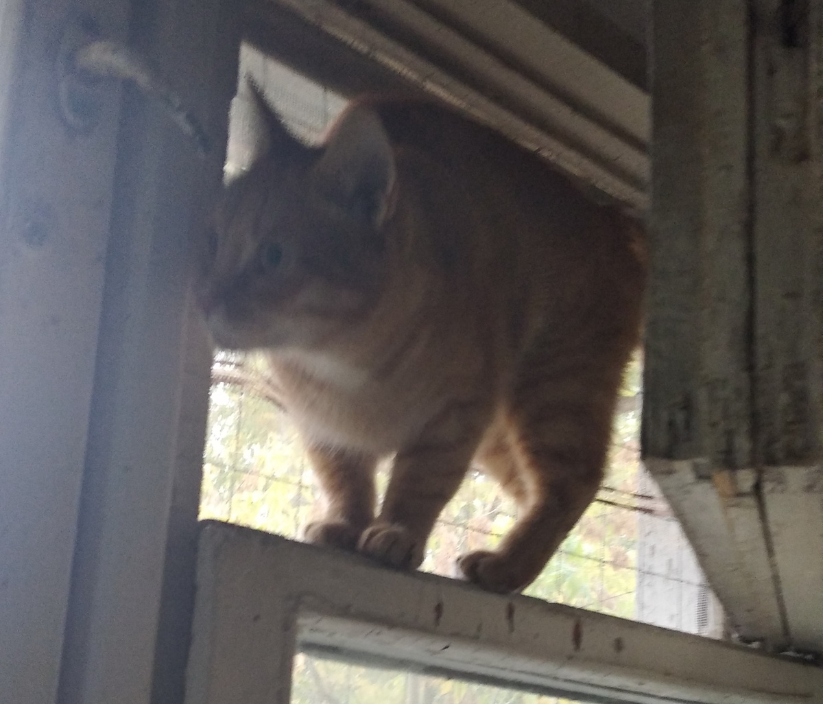 личное фото