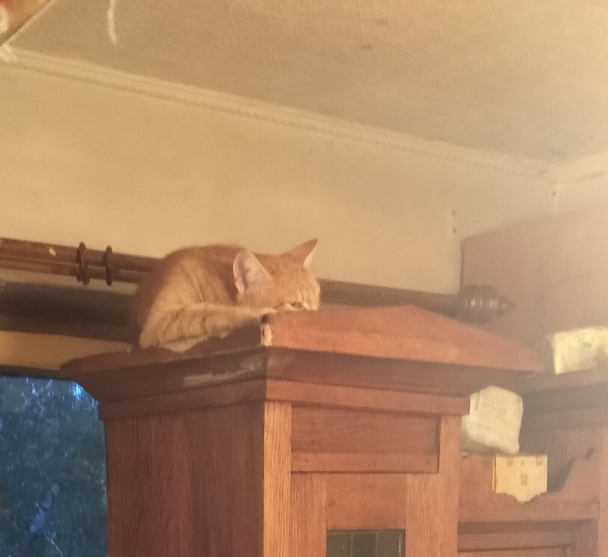 личное фото. 