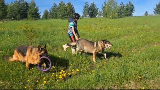 Юный хозяин Гриша под охраной.