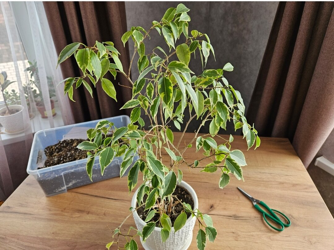 А это ДО - таким он был