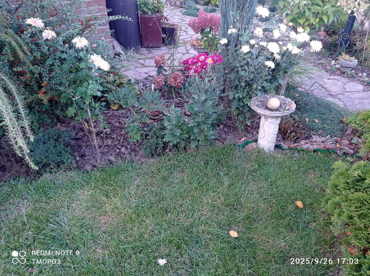 перед домом