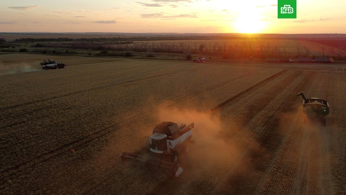    Фото: РИА Новости © 2025, Сергей Пивоваров