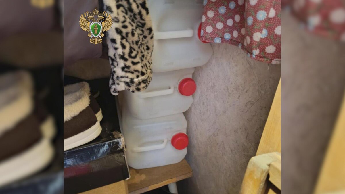    Фото: t.me/prok_lenobl