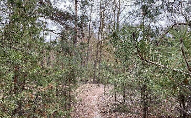    фото Курские Известия