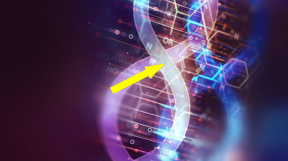    Телепортация ДНК взломана российскими учеными — будущее уже рядом