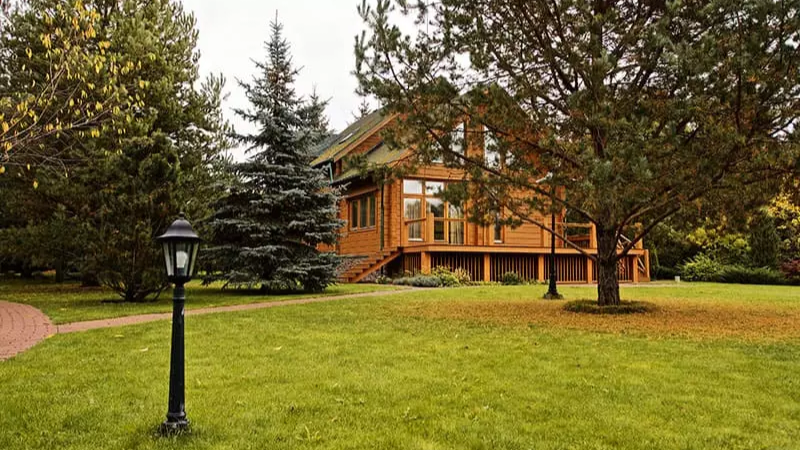 Просторный и большой участок возле Истринского водохранилища, который действительно поражает своими большими размерами.