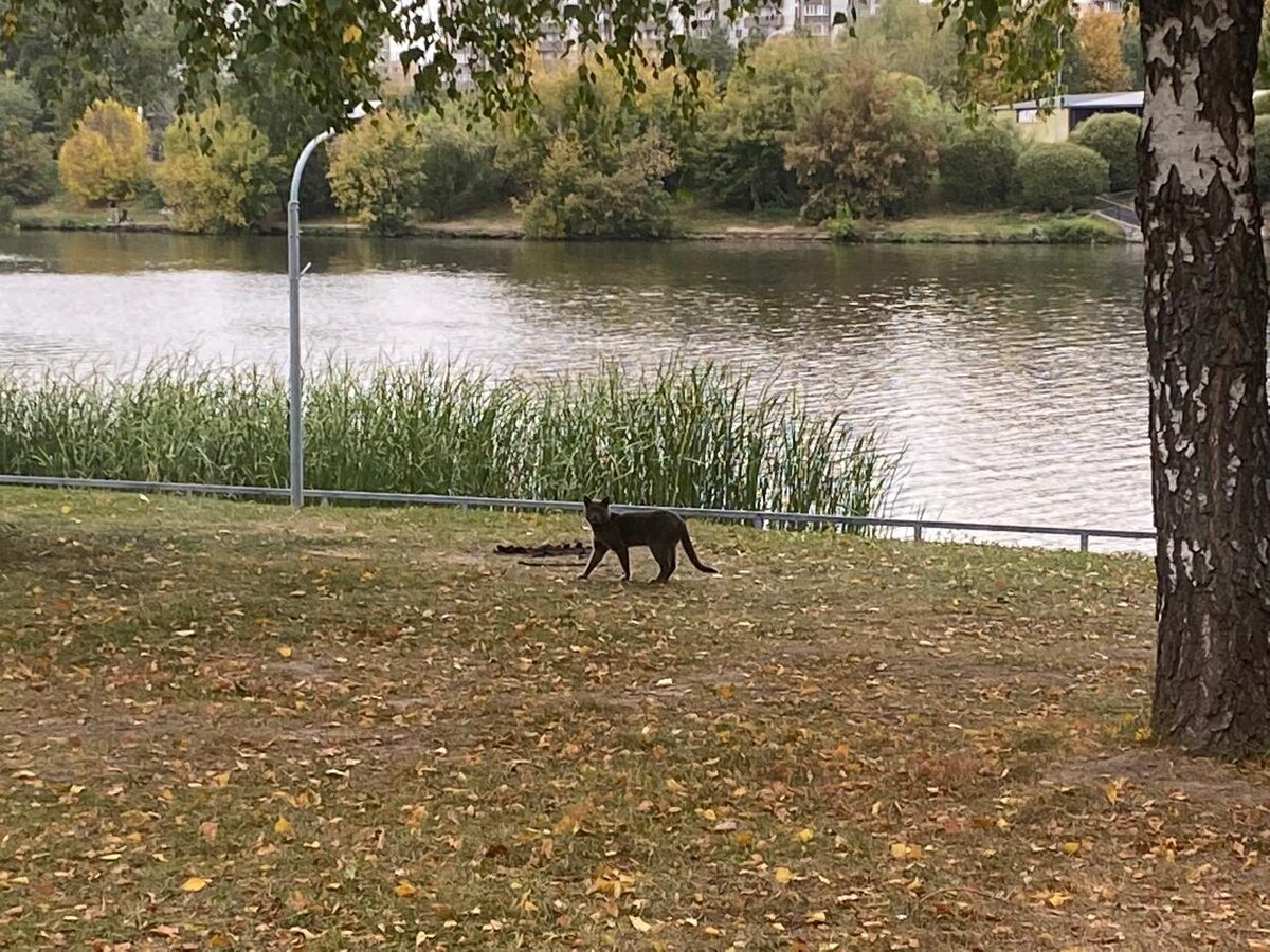 фото автора канала