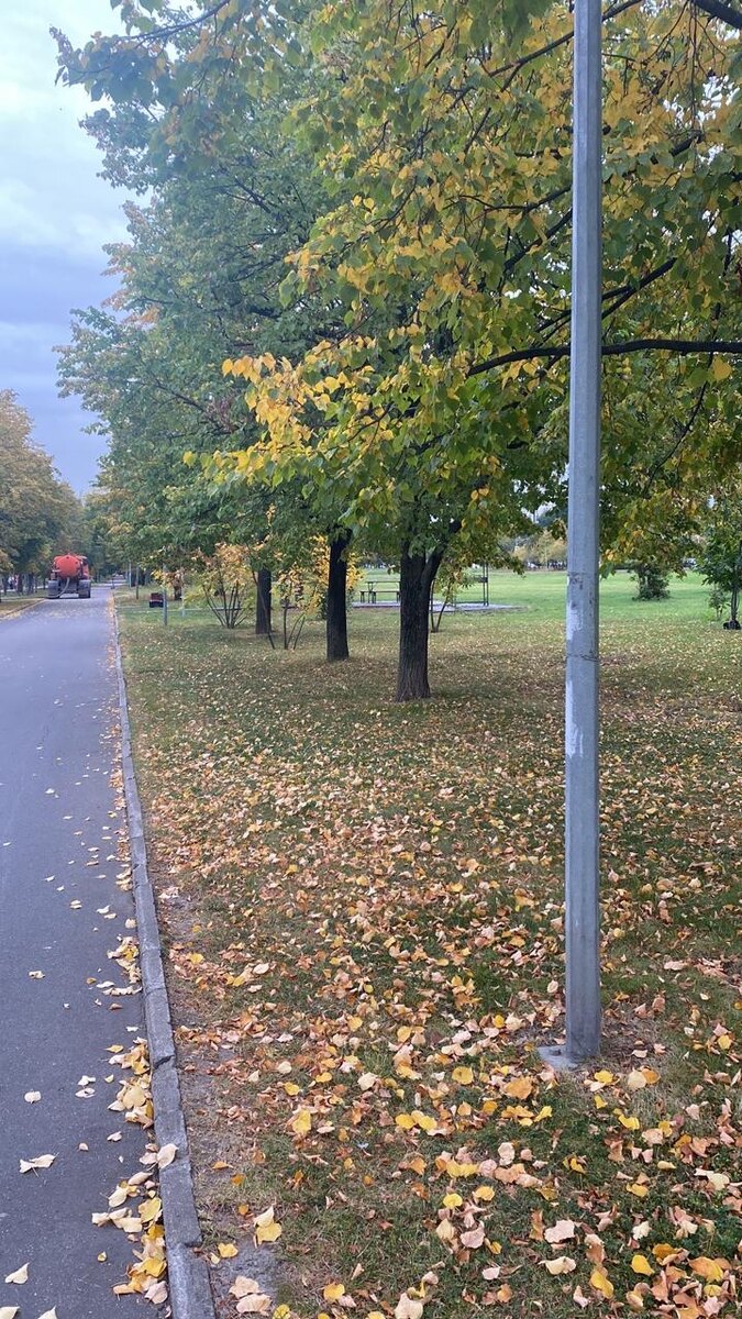 фото автора канала