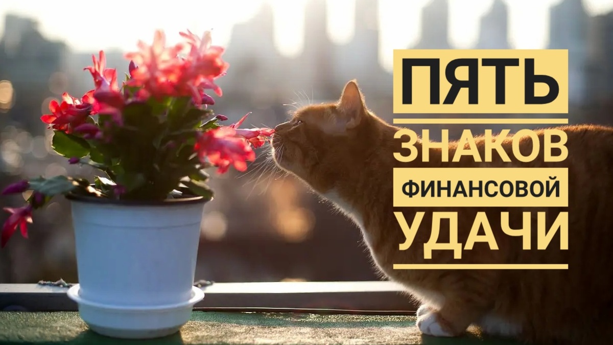 Пять примет скорого богатства