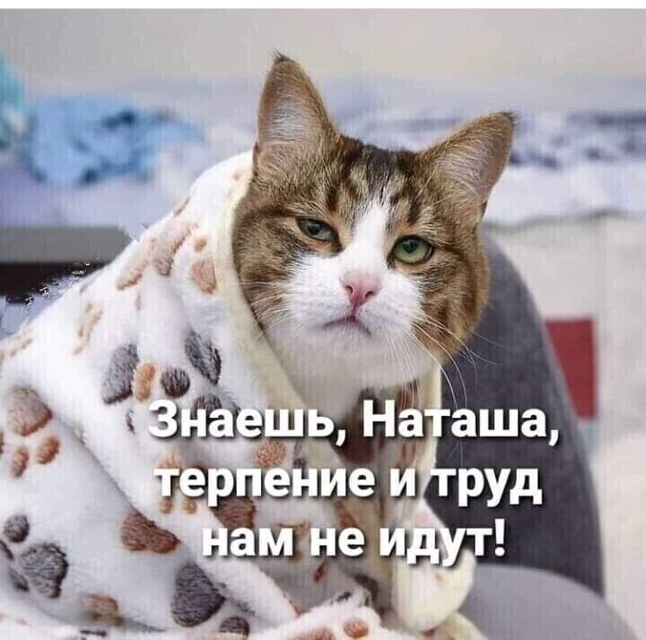 источник Яндекс-картинки