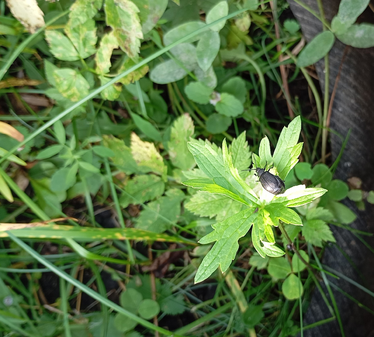 Фотография автора