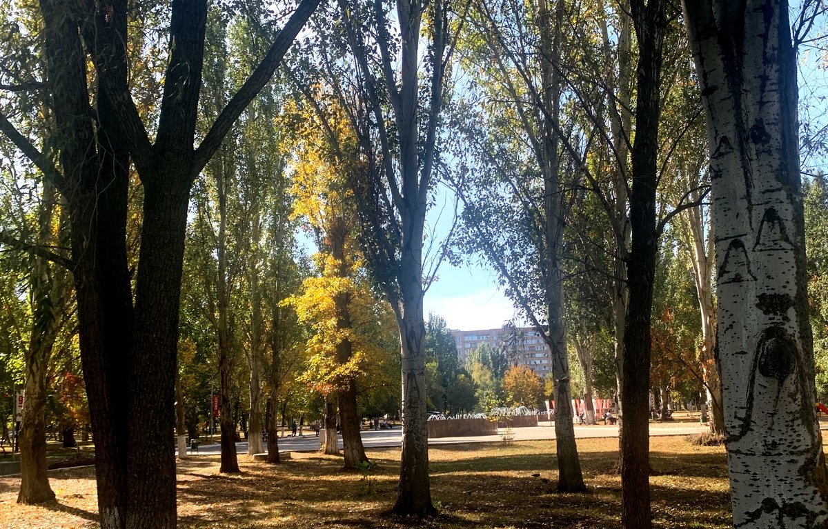 Фото автора