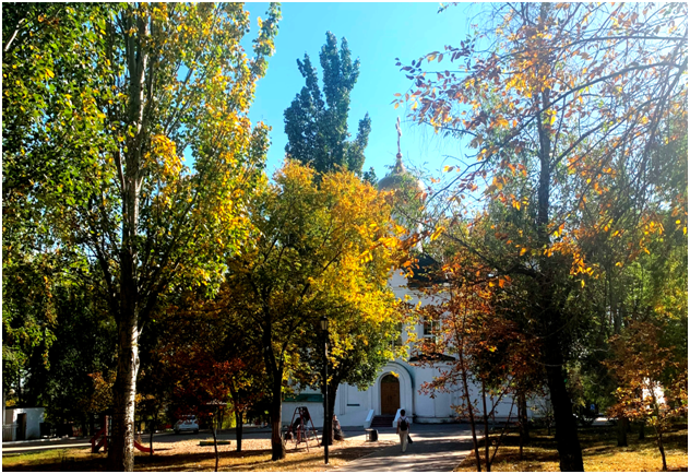 Фото автора