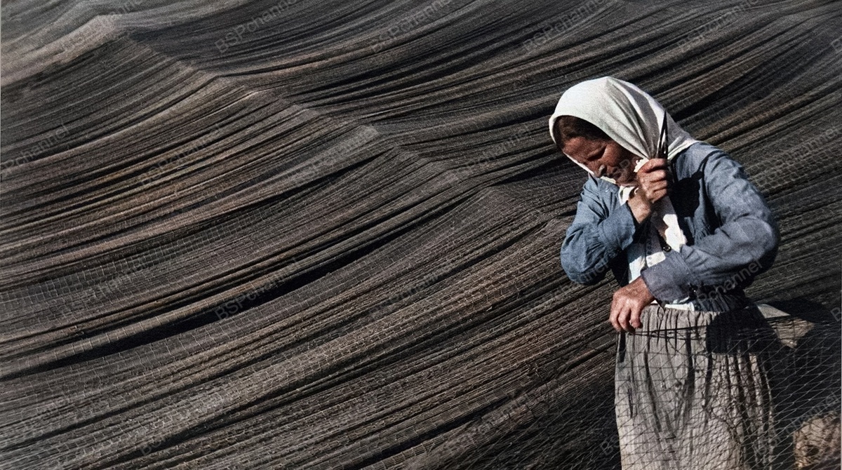 Фотограф: Михаил Прехнер