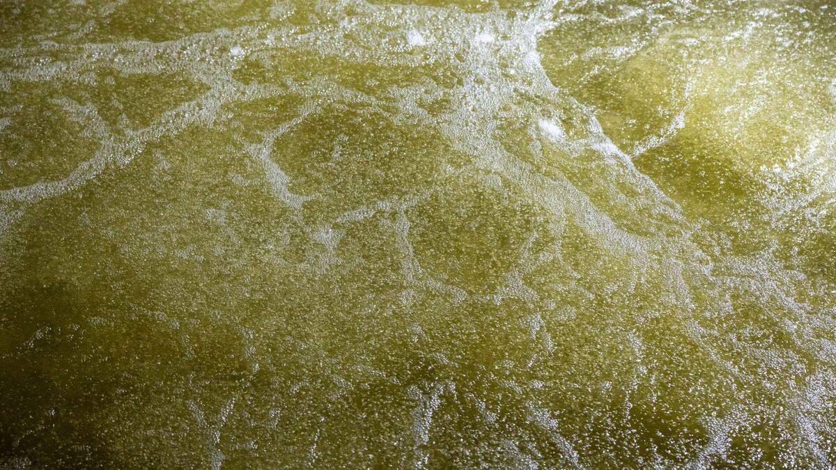    Фото: Федор Воронов/«Ямал-Медиа»