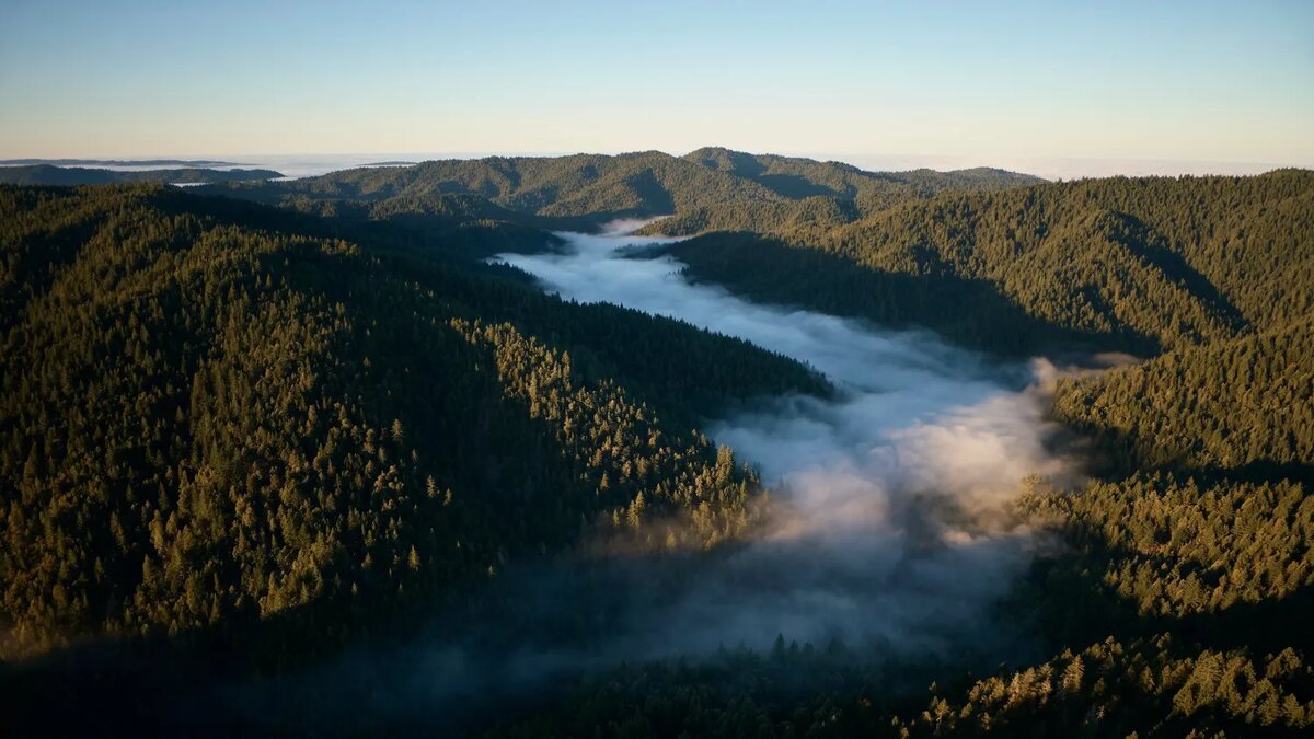 фото Калифорнийского парка с дрона DJI