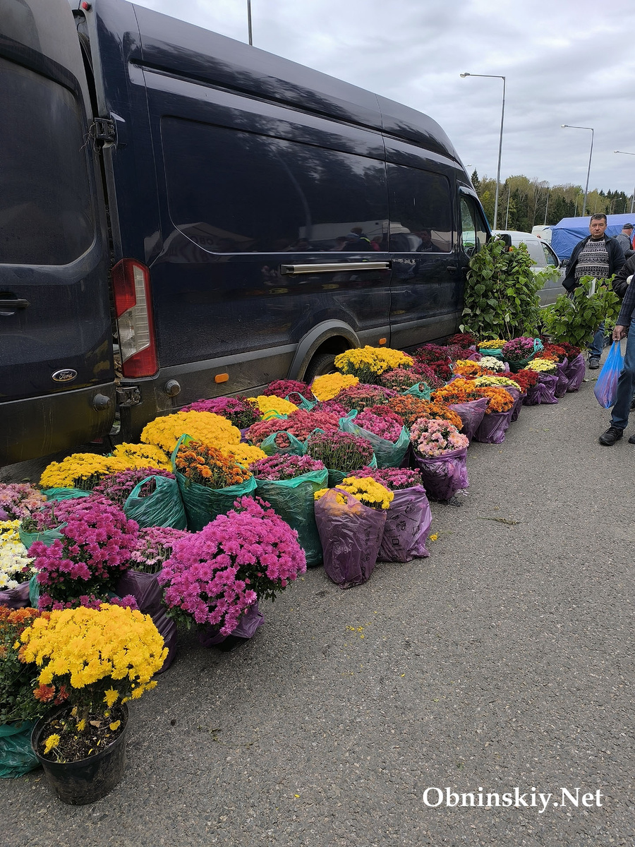 Сельскохозяйственная ярмарка Обнинск 2025