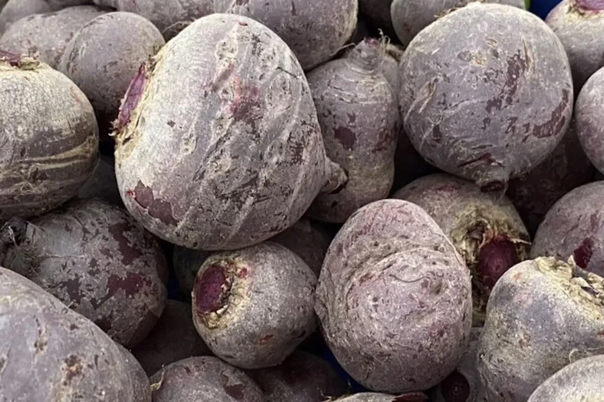 Фото: UfacityNews.ru