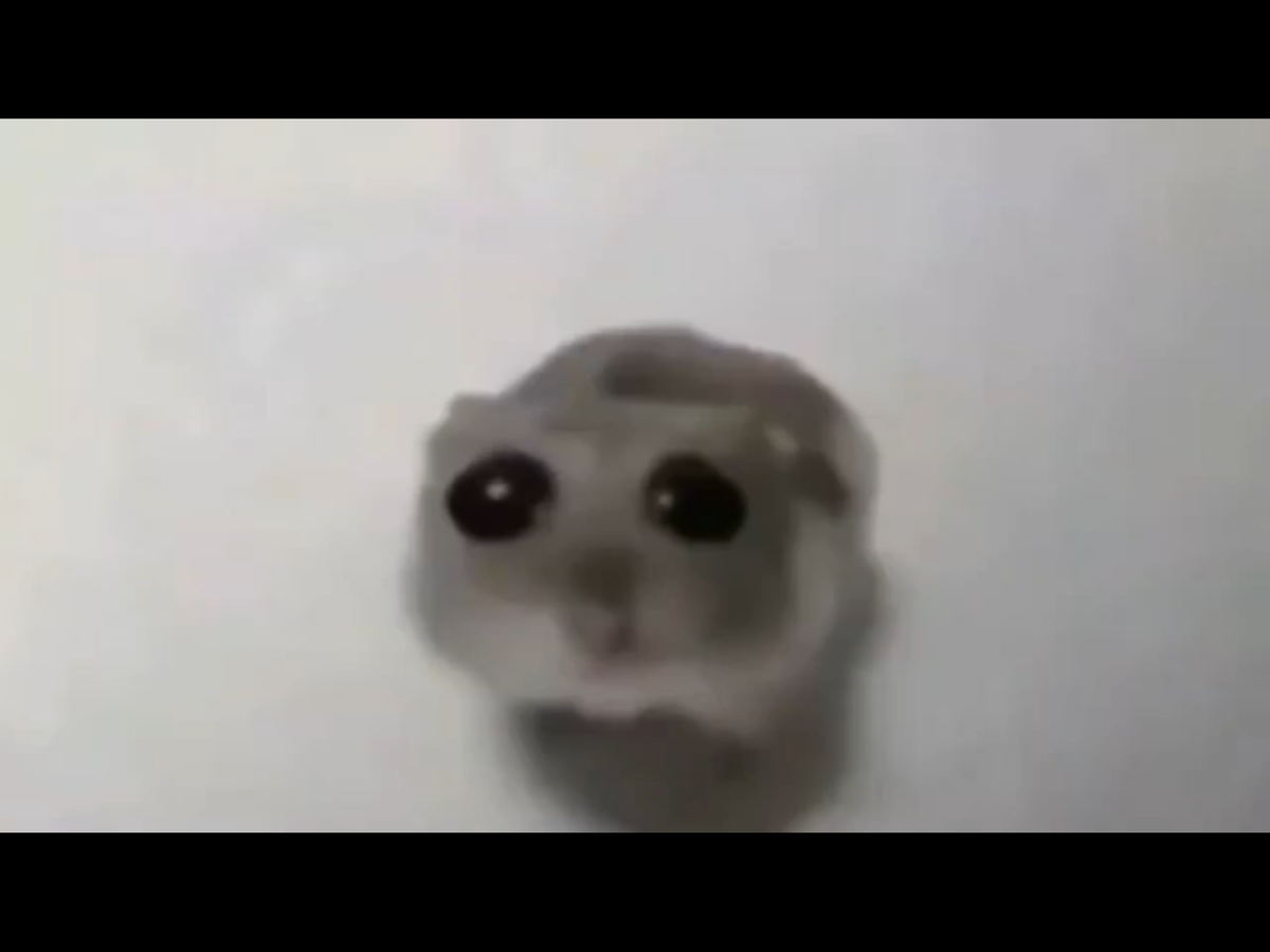 Поставь хомячку лайк 👍 