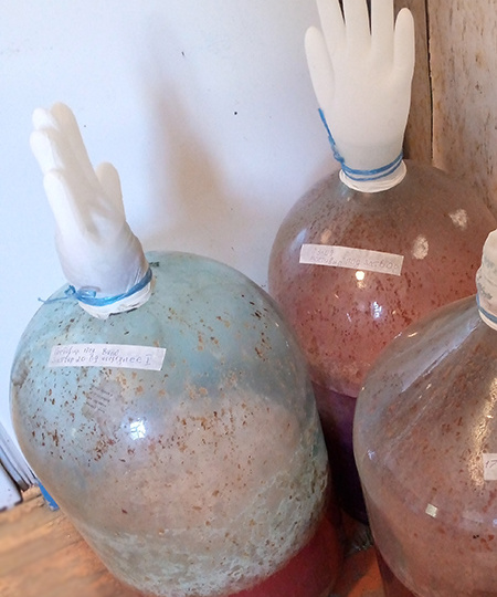 Домашнее вино из столовых сортов винограда. Часть 2