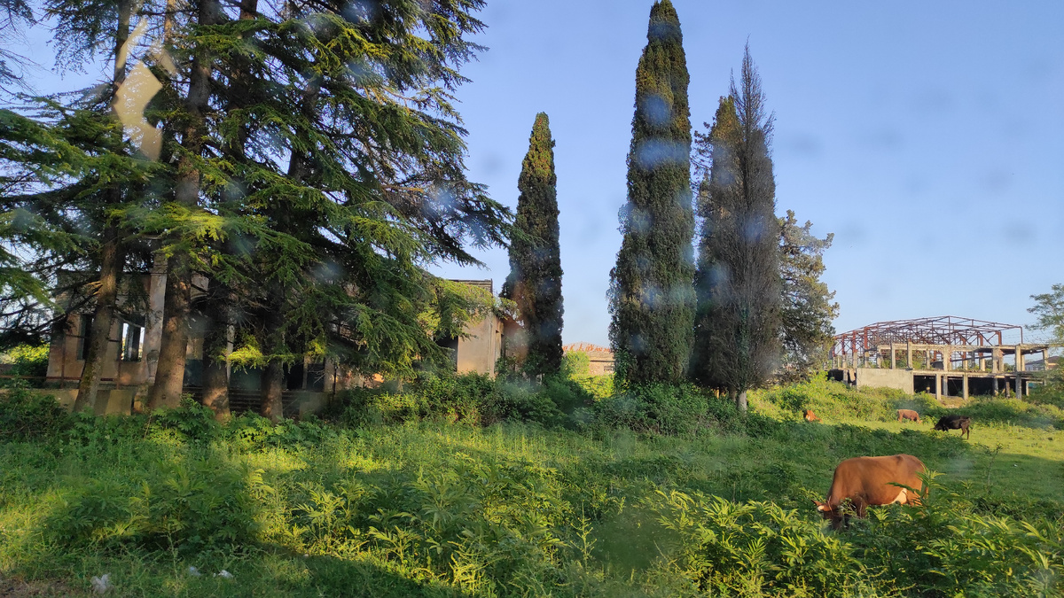 Абхазская пастораль. Фото: Кирилл Полиенко/Polienko: путешествуем вдвоём