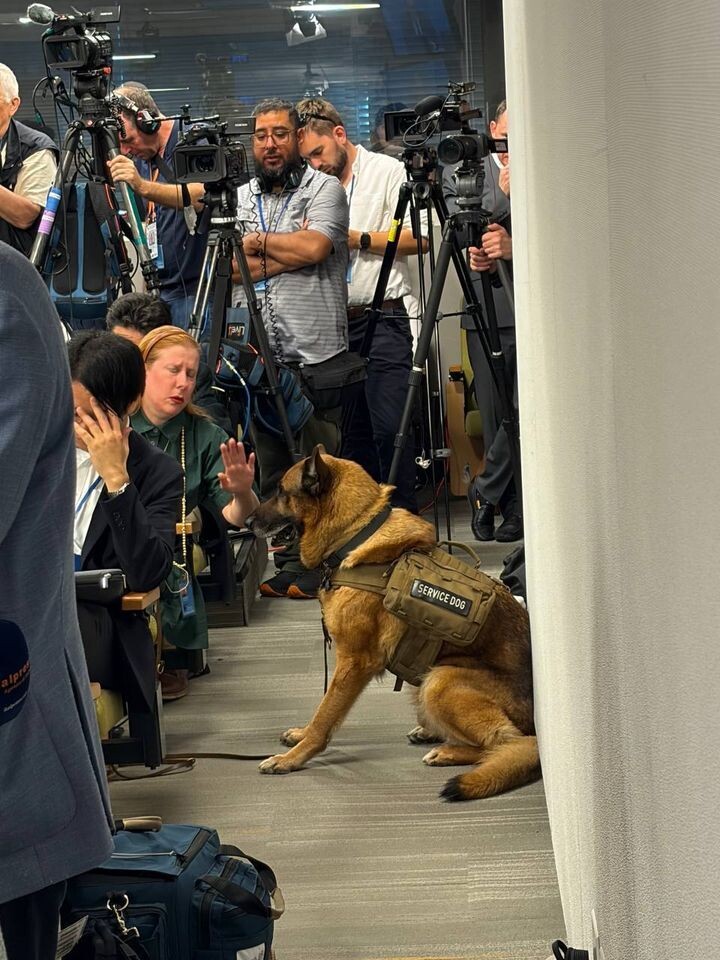    На пресс-конференции Лаврова в ООН / Источник: https://t.me/MariaVladimirovnaZakharova