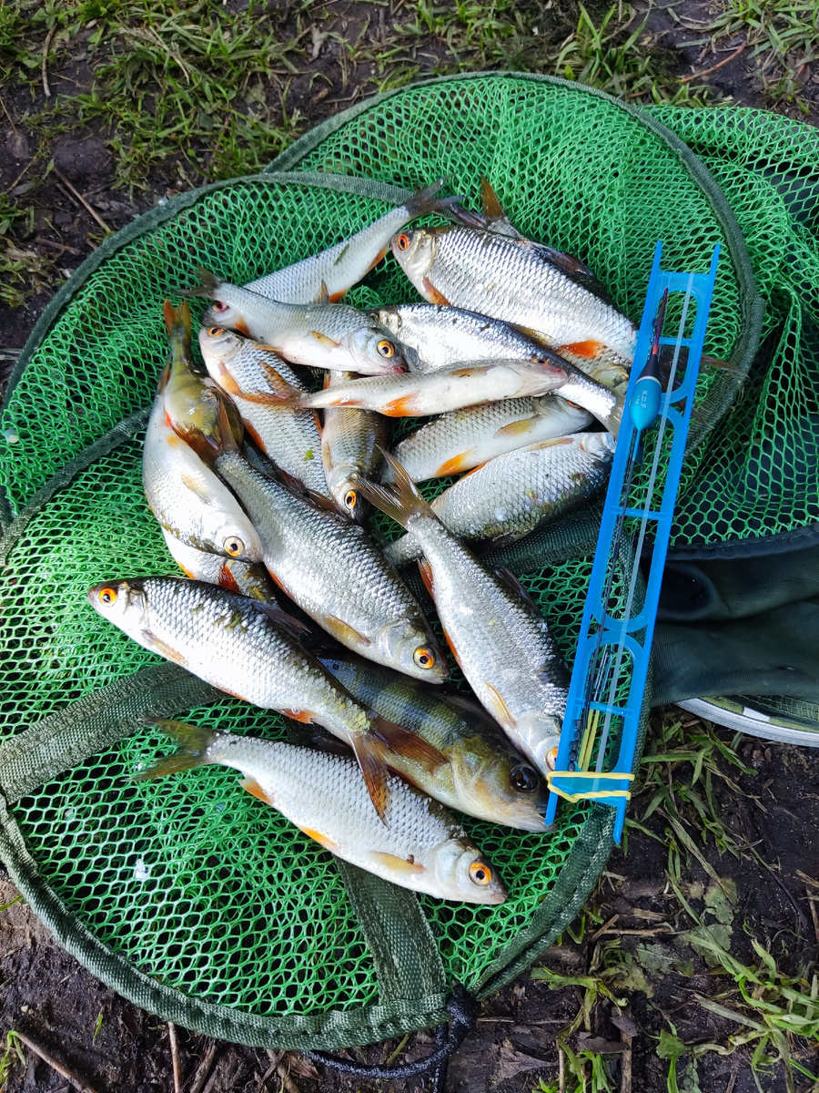 Хранение поплавочных оснасток. Обзор мотовил от KDF.