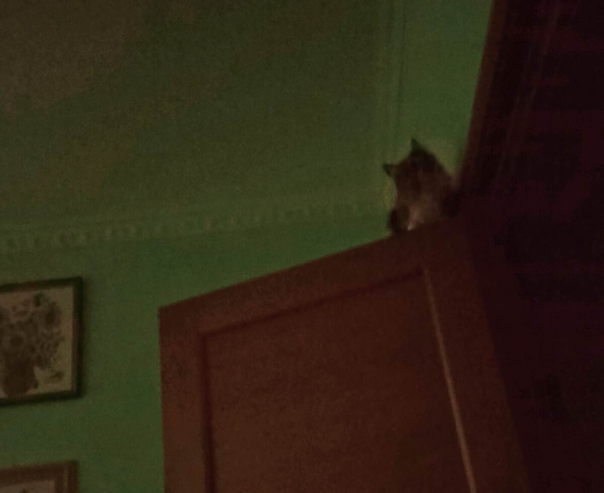 К полёту готова!)) 