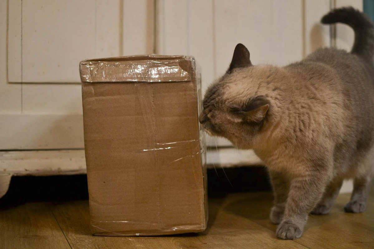 А что внутри? Листайте