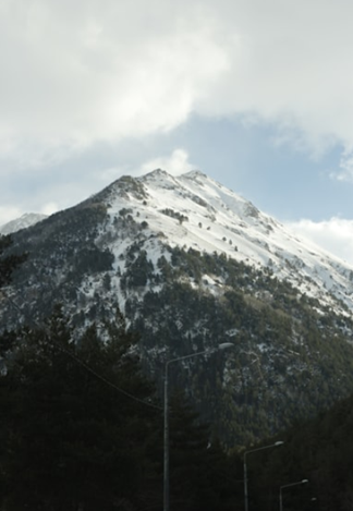 Фото с сайта https://loon.site/