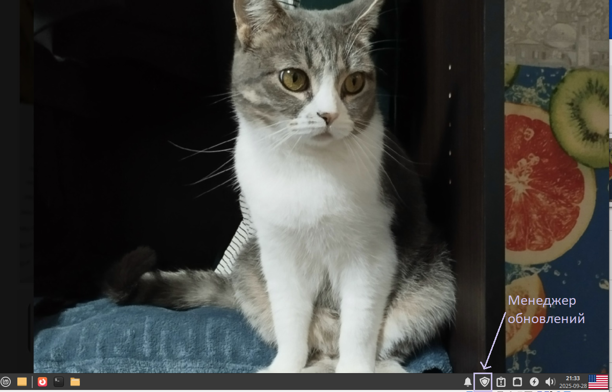 Linux Mint 22.1 "Xia"