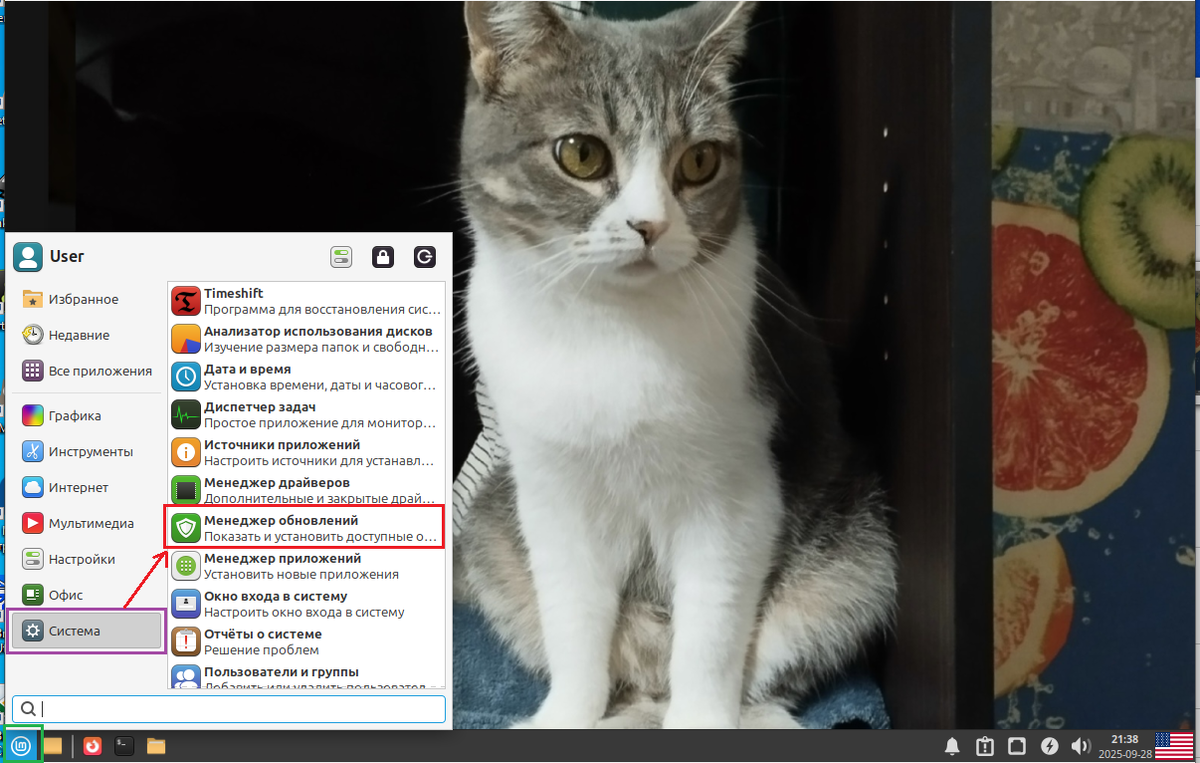 Linux Mint 22.1 "Xia"