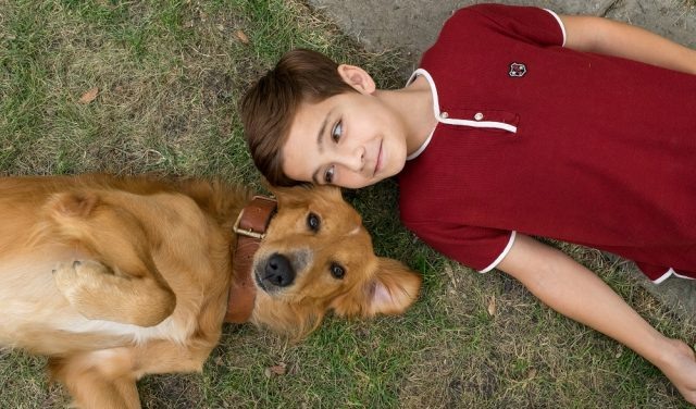    Кадр из фильма «Собачья жизнь»