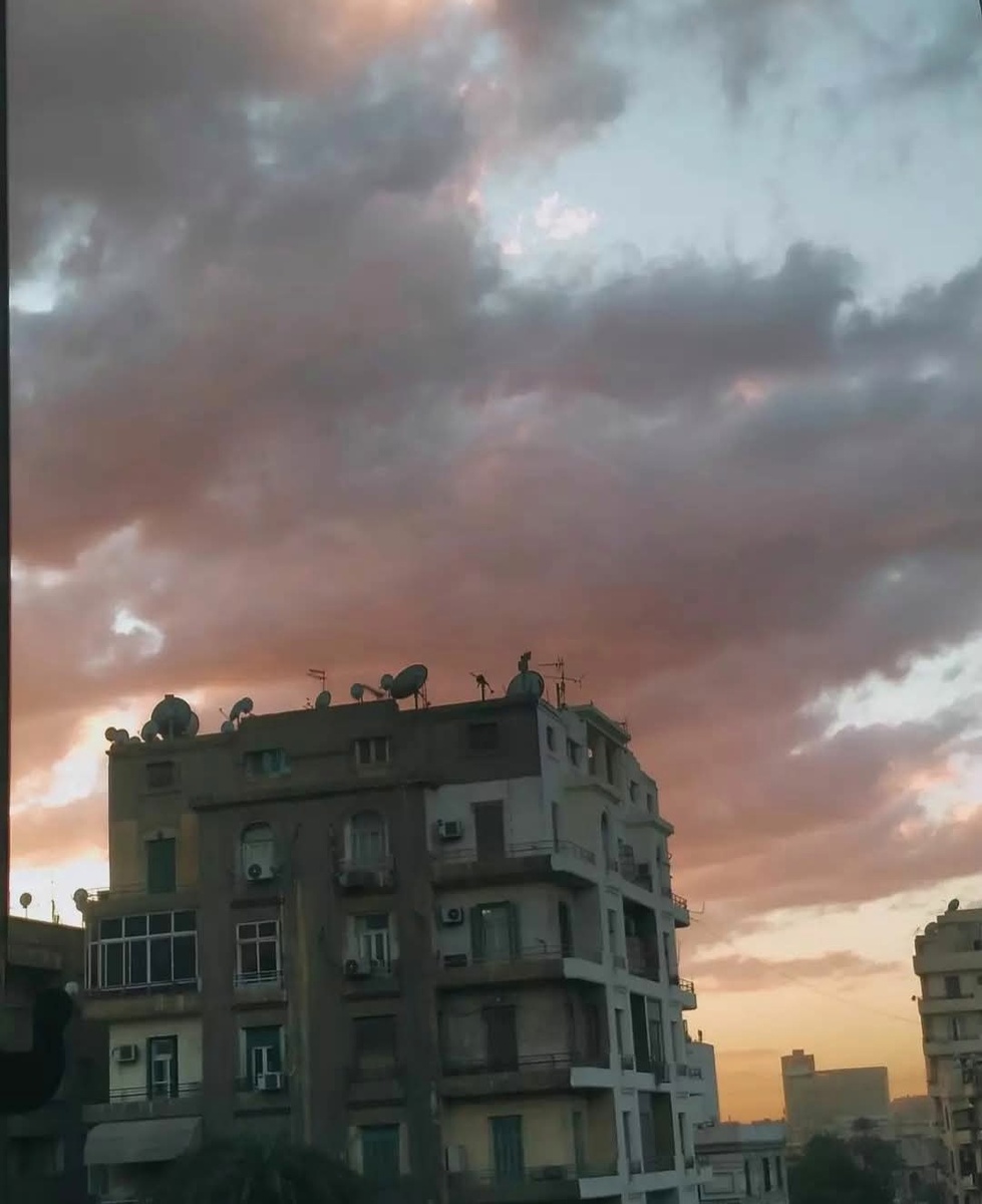 Из окна моей комнаты