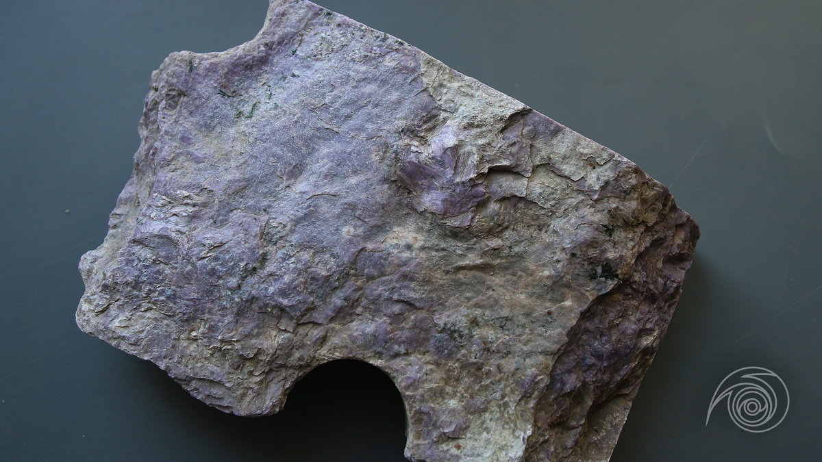 Большой, красивый и многообещающий (фото автора)