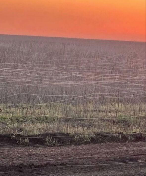 До поля боя оптиковолокно все-таки добралось