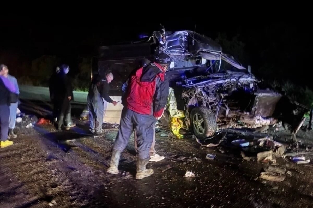    При столкновении «Мерседеса» с трактором на Сахалине пострадали 5 человек