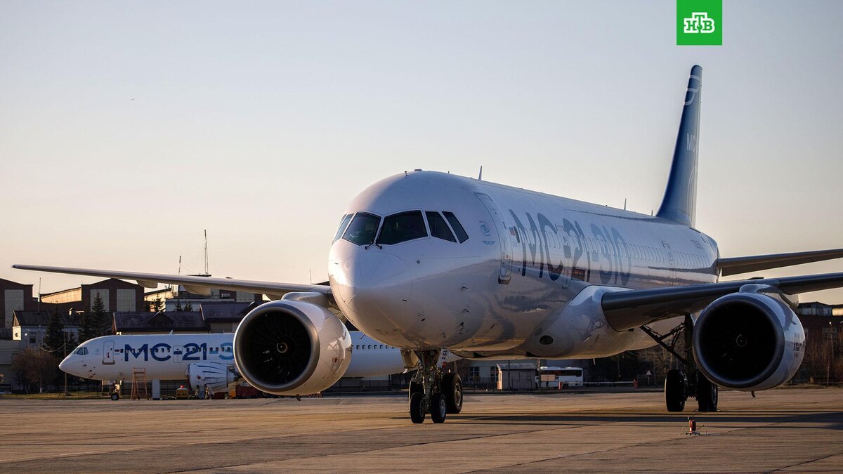    Фото: РИА Новости © 2025, Нина Падалко