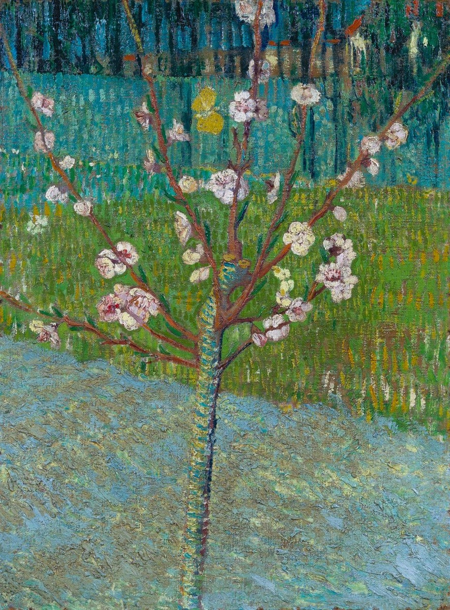 Винсент ван Гог "Цветущее миндальное дерево" (1888)