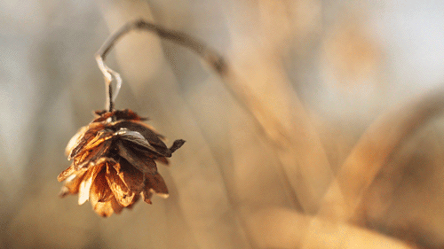 Слушай себя, зорко смотри вокруг, доверяй, люби!