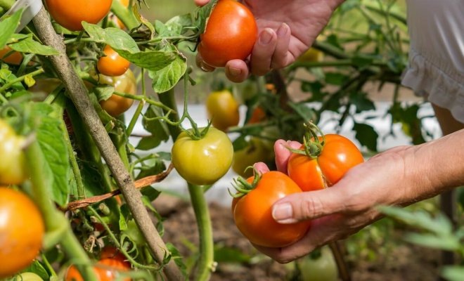 Источник фото: shutterstock.com