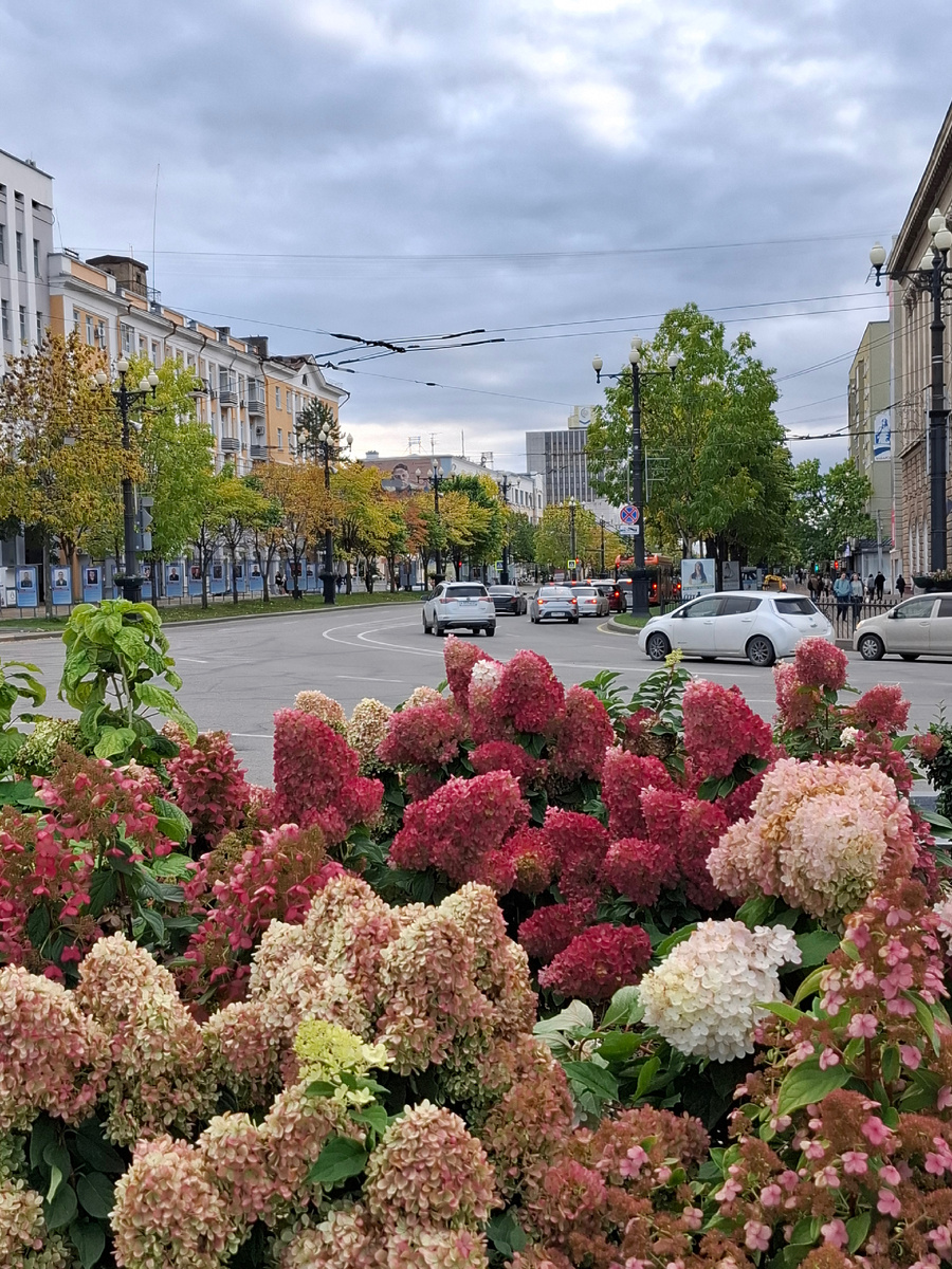 Вид с площади Ленина на улицу Муравьева-Амурского