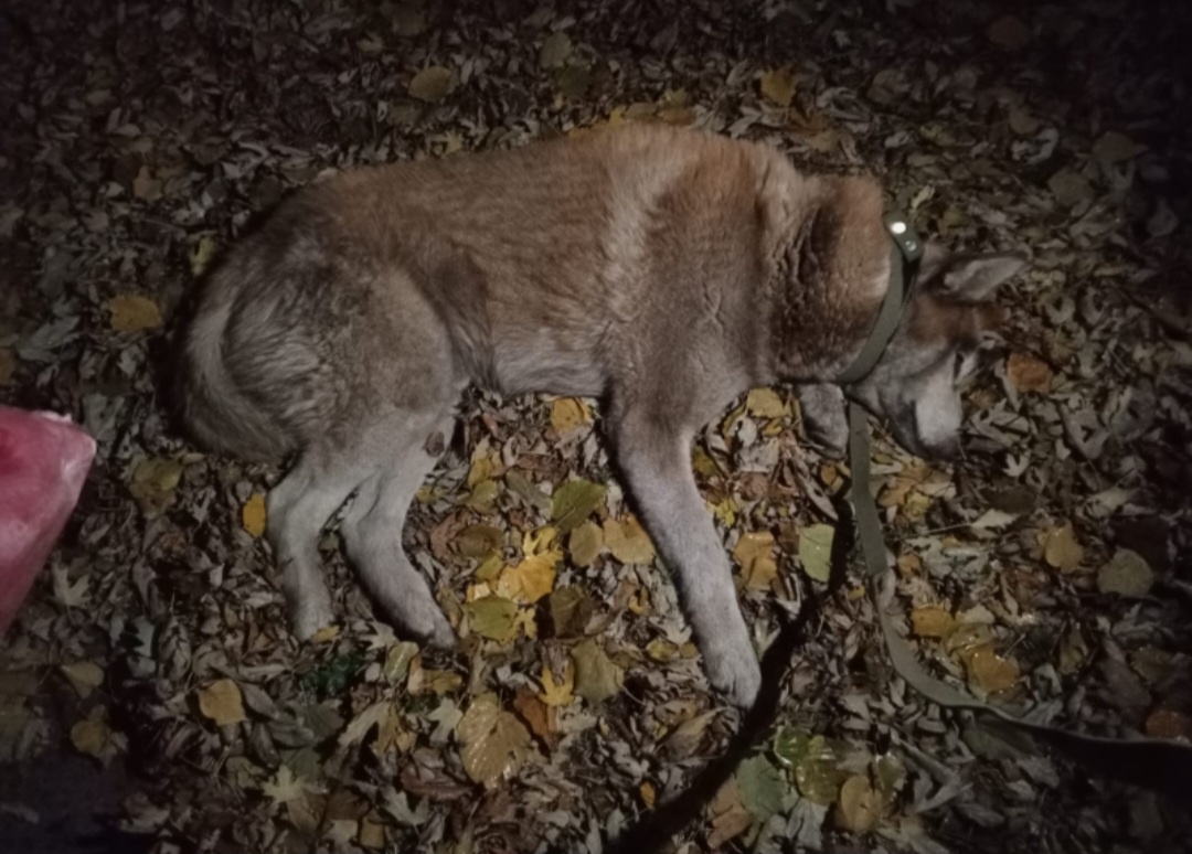 Тот самый день...