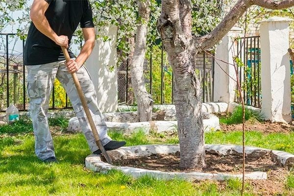 Источник фото: pinterest.com